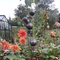 5061098721920 1 Cluster of 5 Garden Stake Ornaments Balls Large.jpg